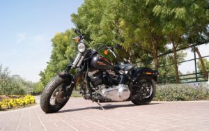 2009 Harley Davidson Softail